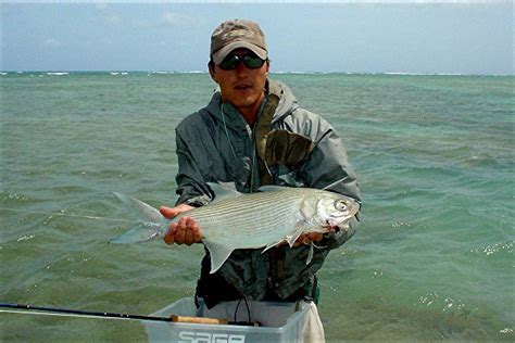 Nervous Water Fly Fishers Fly Fishing Shop And Guide Service In Hawaii