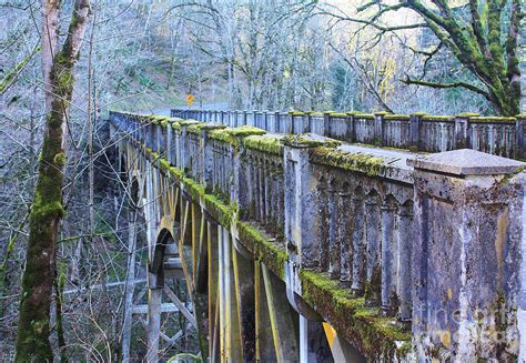 Moss Covered Bridge Photograph By Steven Baier Pixels