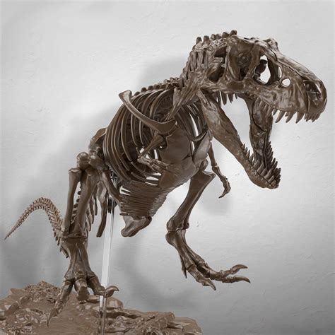 Bandai 132 Imaginary Skeleton Tyrannosaurus Rex Model Kit