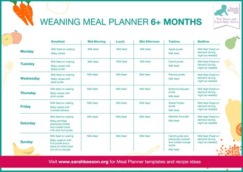 By eight months, your baby can use the thumb and forefinger to pick up small pieces of food. 7 Day Meal Planner for Weaning Baby from 6+ Months | Sarah ...