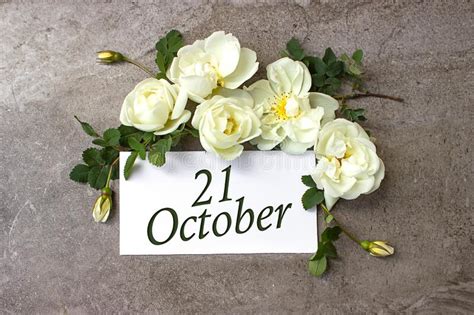 October 21st Day 21 Of Month Calendar Date White Roses Border On