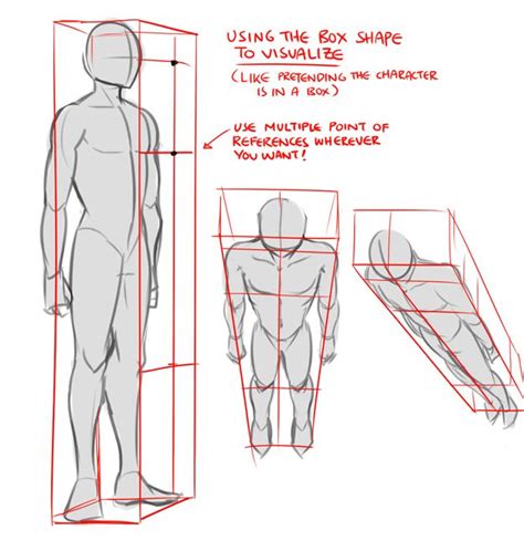 Drawing The Body In Different Angles Perspective Art Anatomy