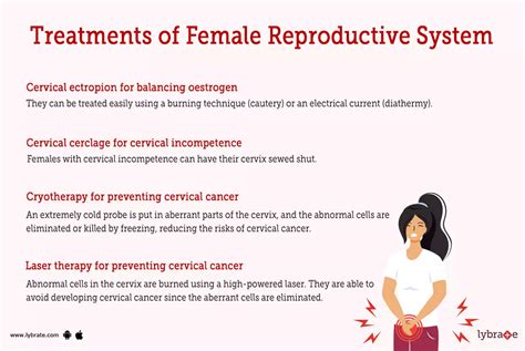 Female Reproductive System Human Anatomy Picture Functions Diseases And Treatments