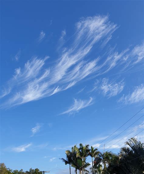 Cloud Report Lots Of Cirrus Clouds Above Today And Last Night Cirrus