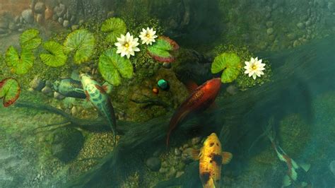 Over 31 users have download this mod. Koi Pond - Garden 3D Screensaver & Live Wallpaper HD - YouTube
