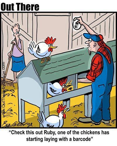 31 Best Chicken Humor Images On Pinterest Funny Chicken Chicken
