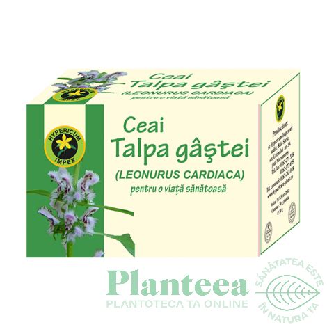 Ceai Talpa Gastei G Hypericum Plant Pret Lei Planteea