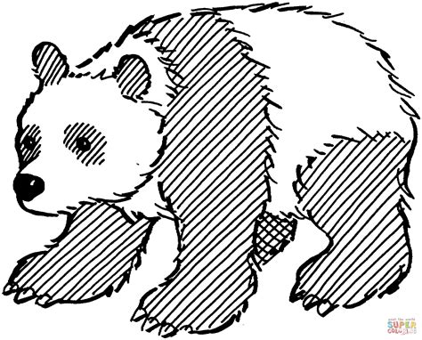 Giant Panda Coloring Page From Giant Panda Category Select From 29062