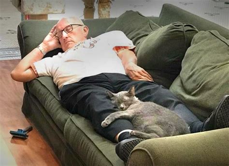 Cat Grandpa Sensation Turns Into Huge Shelter Donations Green Bay