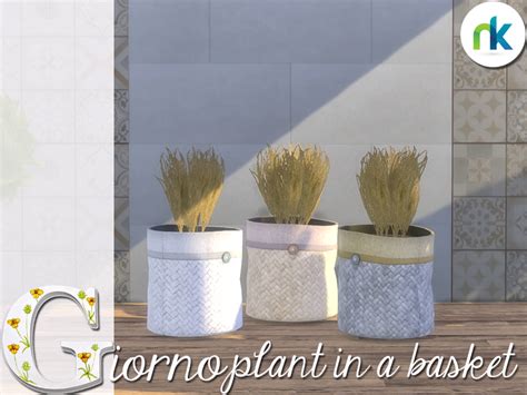 How do i start a garden in sims 3. Nikadema Giorno Basket Plant