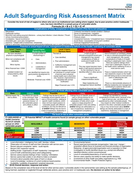 Safeguarding Risk Assessment Matrix Riset