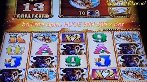 Buffalo Gold Slot Machine 56 Free Spins Huge Win 385 X Bet Safari