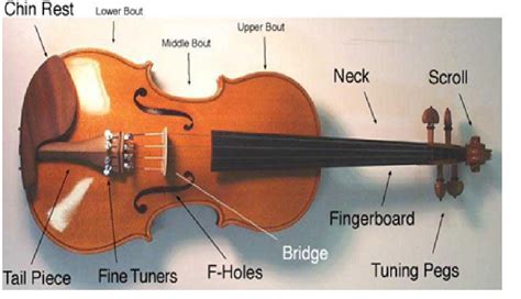 How To Play The Violin The Basics Of Starting The Violin