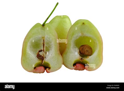 Rose Apple Fruit Thailand Stock Photo Alamy