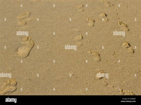 Adult And Child Footprints In The Sand On Pors Peron Beach On Cap Sizun