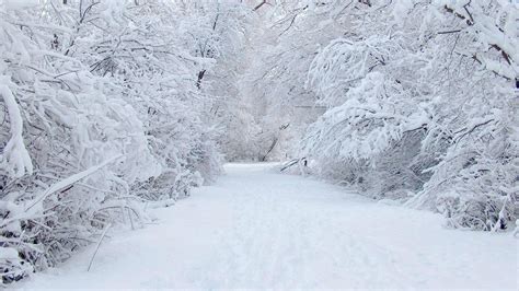 10 Latest Winter Wonderland Background Pictures Full Hd 1080p For Pc