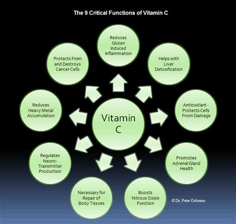 Vitamin c is an essential micronutrient for humans, with pleiotropic functions related to its ability to donate electrons. Gluten Free Vitamin C Supplement | Detox C | Gluten Free ...