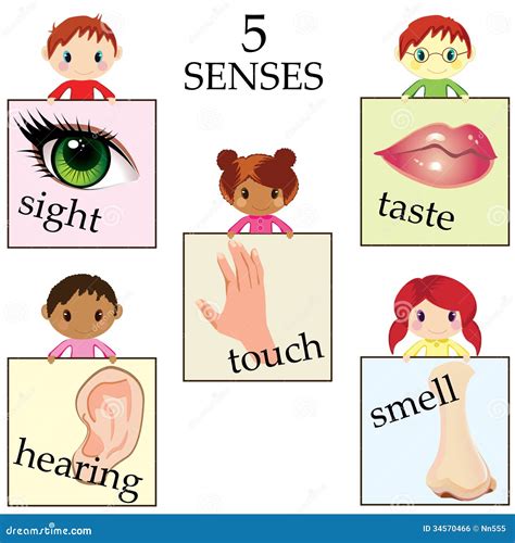 Five Senses Poster Hearing Sense Presentation Page For Kids Cartoon