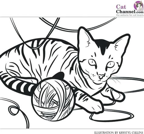 Print and color the best free color pictures for kids. Realistic Girl Coloring Pages at GetColorings.com | Free ...