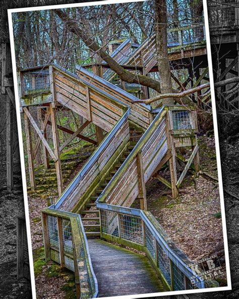 Best hiking in southern illinois. These 10 Scenic Overlooks In Illinois Will Leave You ...