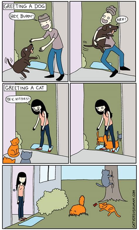 Comics That Hilariously Sum Up The Life Of A Cat Owner Pics