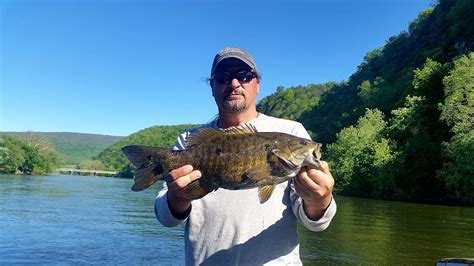 Grateful Guides Fishing Trips Central Pennsylvania Smallmouth Bass Fly