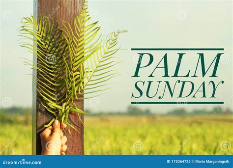 Palm Sunday Quote Happy Palm Sunday Fern Or Palm Leaf In Hand On