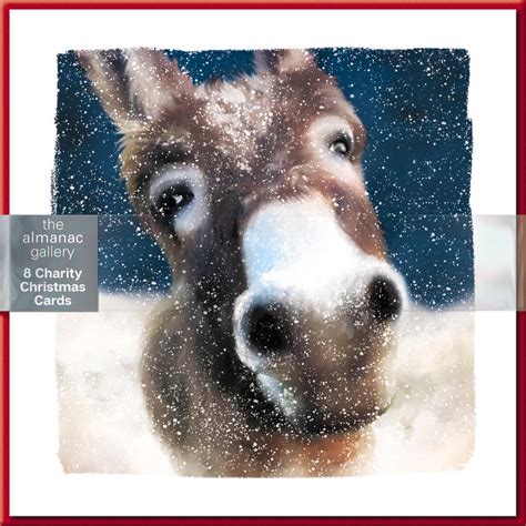 Pack Of A Christmas Donkey Charity Christmas Cards Cards