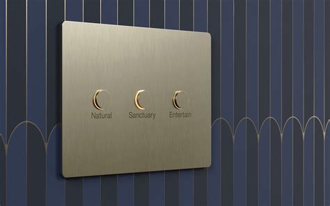 Lutron Wall Controls For Luxury Homes Mgs Architecture