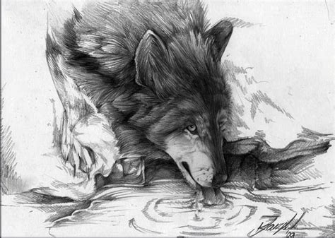 10 Cool Wolf Drawings For Inspiration Hative