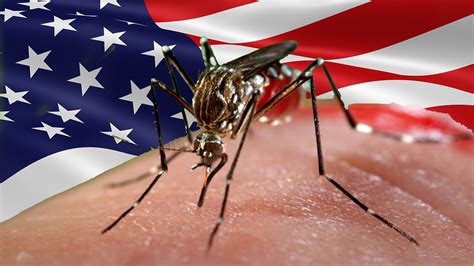 First Case Of Zika Virus Confirmed In Usa Youtube