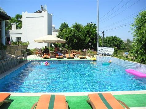 Hotel Eden Pool Pictures And Reviews Tripadvisor