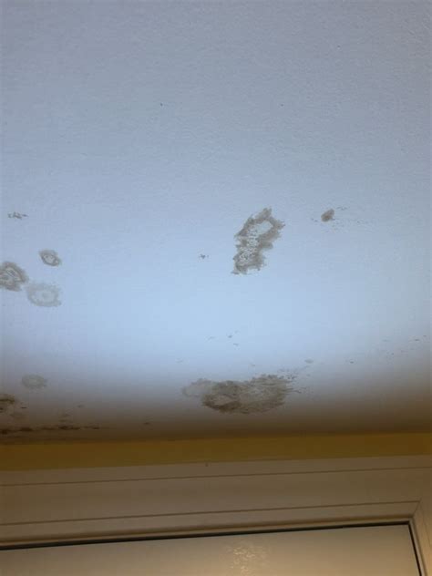 Repairing ceiling water damage, whether it is the result of a broken pipe or torrential rainfall, is particularly important for the health and comfort of your home. Drywall repair to the ceiling. Water line broke from ...