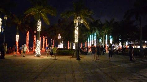 Christmas Light Show Lighted Palm Trees Synced With Music