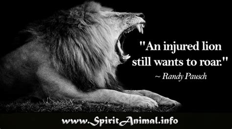 Lion Quotes Spirit Animal Info
