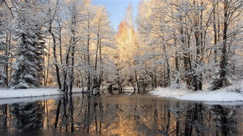 Beautiful Winter In The Woods Wallpapers Wallpaper Cave