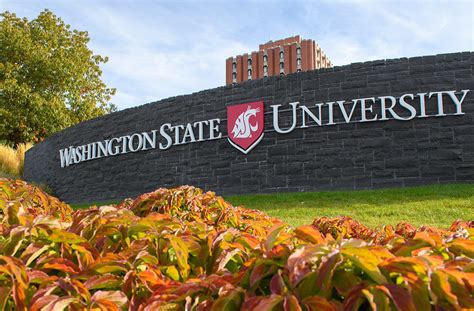 This Is The Trend Washington State University No Longer Using Sat