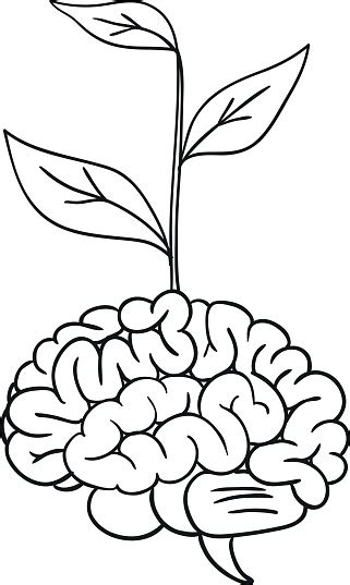Brain Tree Vector Stock Illustration Download Image Now Istock