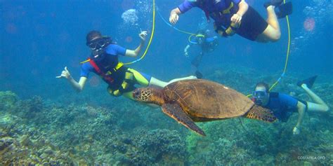 Scuba Diving And Snorkeling Adventures In Costa Rica