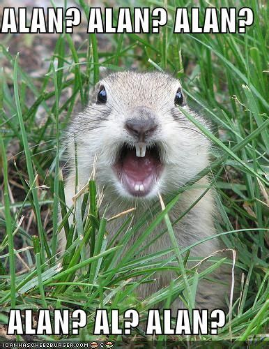 An Image Of A Groundhog Laughing In The Grass