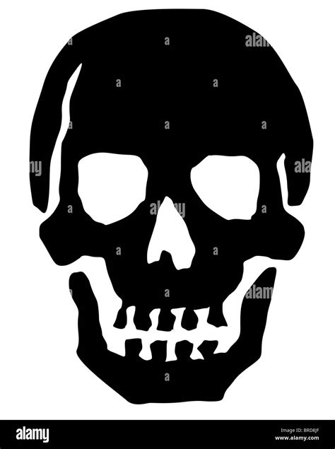 Stylized Skull All On White Background Stock Photo Alamy