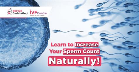Learn To Increase Your Sperm Count Naturally Garbhagudi Ivf Centre