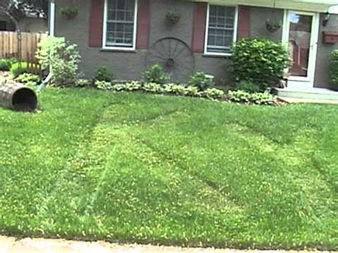 You could have a few pizzas delivered to their address. tagging my neighbors lawn prank - YouTube