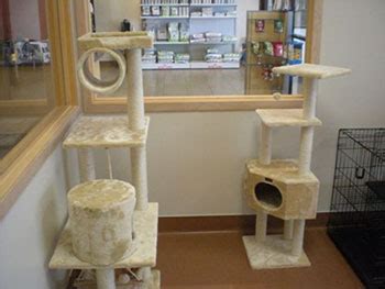 Healthy pet veterinary clinic is located in madison city of wisconsin state. Healthy Pet Veterinary Clinic, Madison WI 53704 :: Pet ...