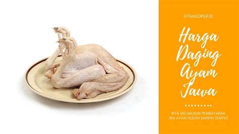 Perawatan ayam broiler dengan baik akan sangat menguntungkan anda ke depannya, karena penjualannya saja bisa mencapai jutaan rupiah. Referensi Harga Ayam Broiler Hari Ini / Harga ayam broiler ...