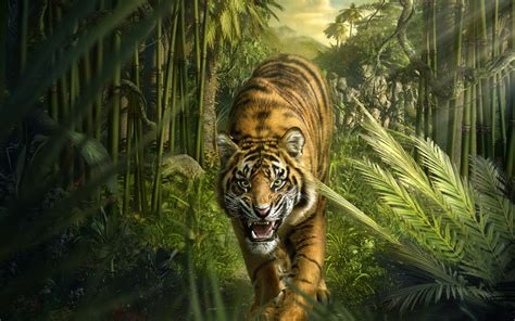Picture Of A Tiger Hd Desktop Wallpapers 4k Hd