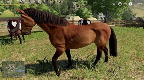 Animals In Farming Simulator 19 Part 1 Horses Youtube