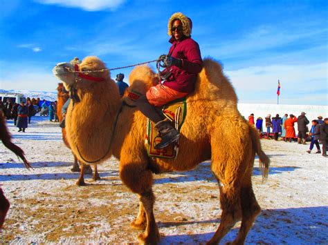 Living On Purpose Govi Altai Thousand Camel Festival 2014