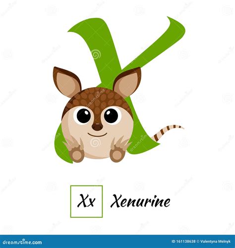 English Animal Alphabet Letter X In Vector Style Stock Illustration