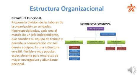 Estructura Funcional De Una Empresa